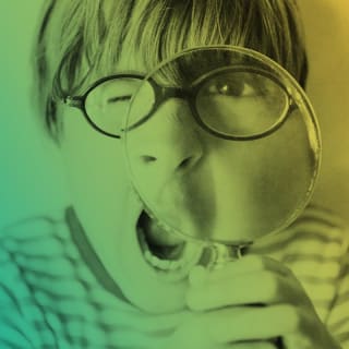 Die neuesten Top-Suchbegriffe – September bis November 2016