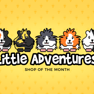 Shop of the Month: Little Adventures