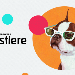 Design-Wettbewerb im August: Haustiere