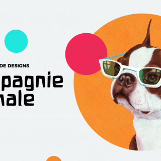 Concours de designs – Compagnie animale