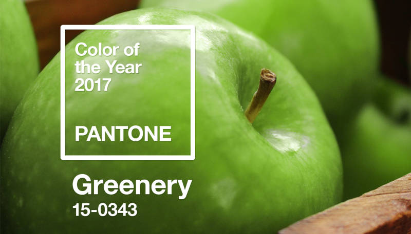 Pantones Farbe des Jahres 2017: Greenery