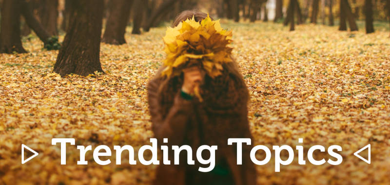 Entre août et octobre – Retour sur les tendances clients