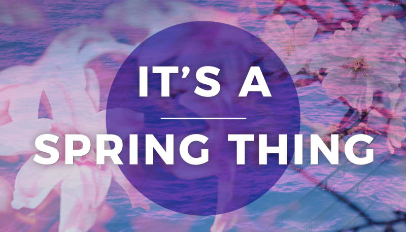 Spring Trends 2017