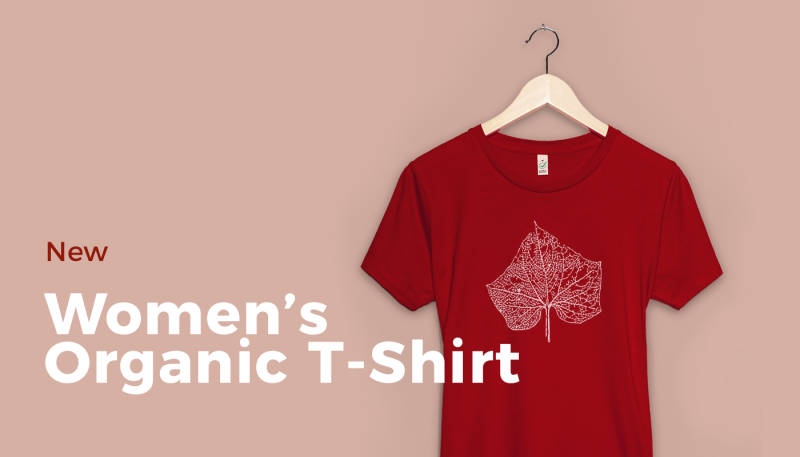 Product Change: Women’s Organic T-Shirt