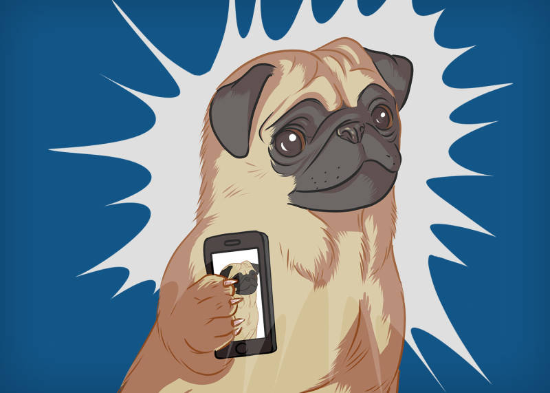 How to promote your Designs on Instagram