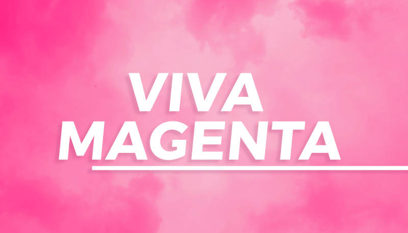 Viva Magenta – Using the Colour of the Year