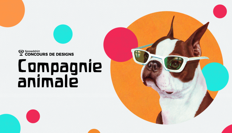 Concours de designs – Compagnie animale