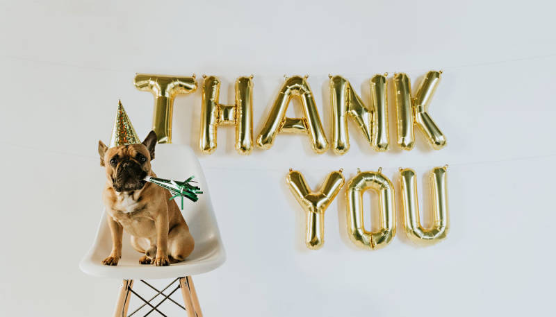 Thank You!