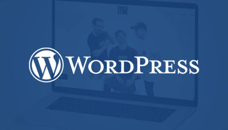 WordPress Plugin Update: More Freedom in Shop Integration