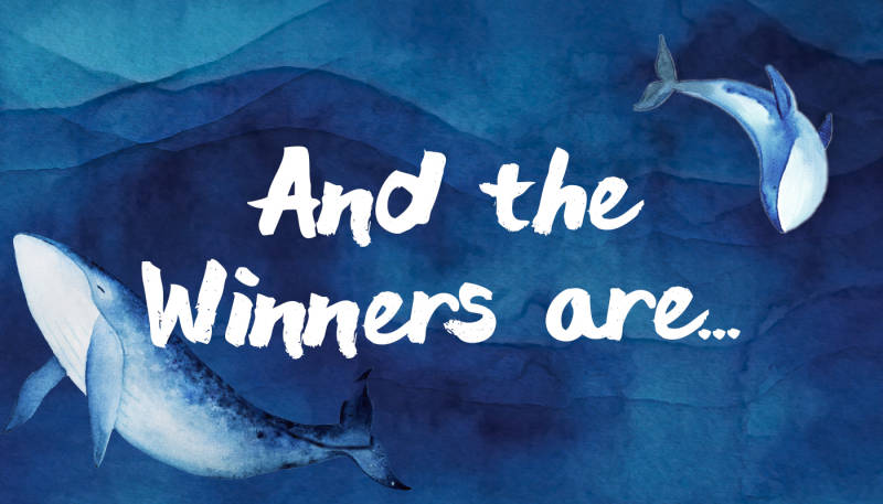 Winners of the Deep Sea Blue Design Contest