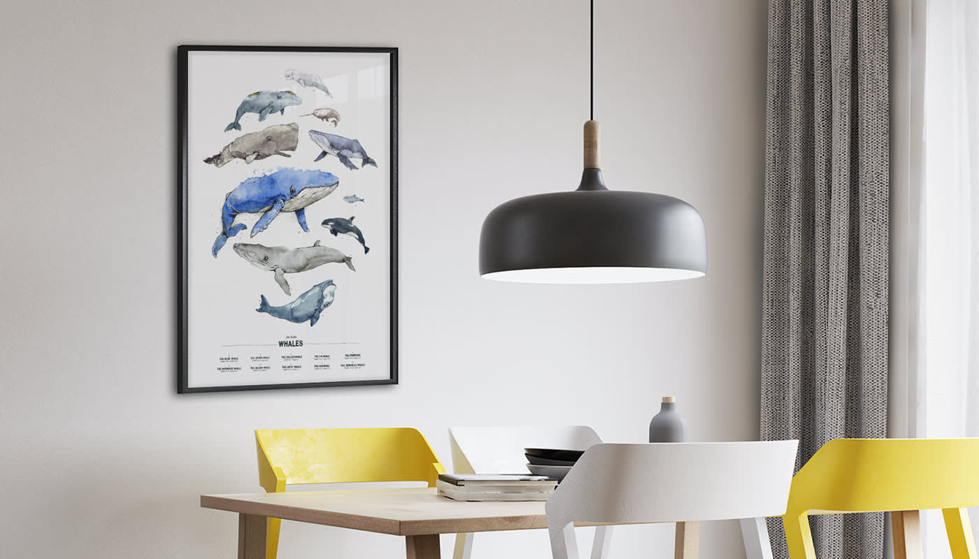  Whales Poster