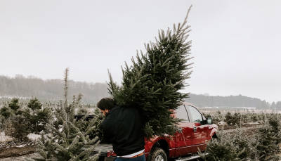 Design-Inspiration Spezial: Weihnachten