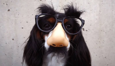 9 Insider Tips for Marketplace Designers