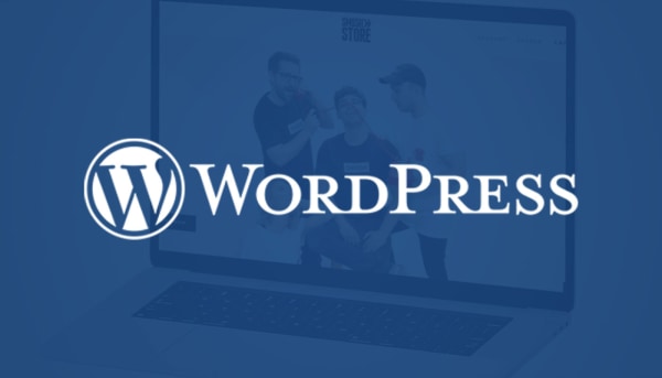 WordPress Plugin Update: More Freedom in Shop Integration