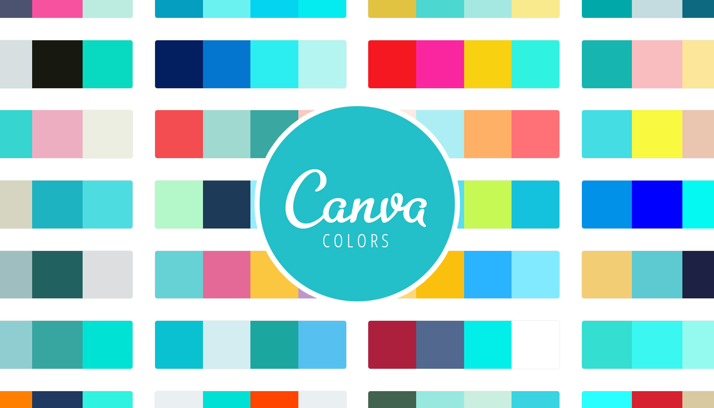 Toolbox: Find Your Colors with Canva Colors - The Spreadshirt UK blog