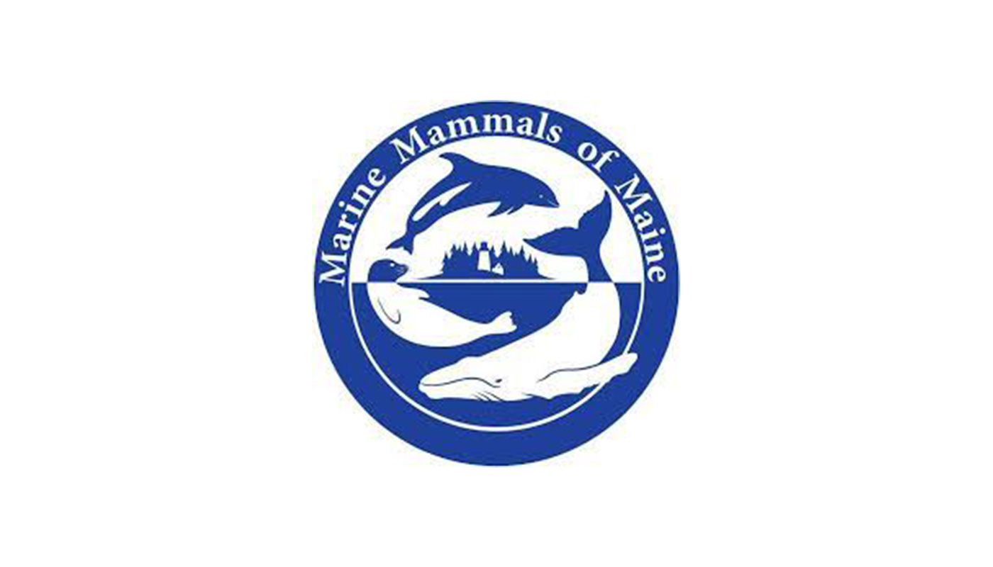 Marine Mammals of Maine