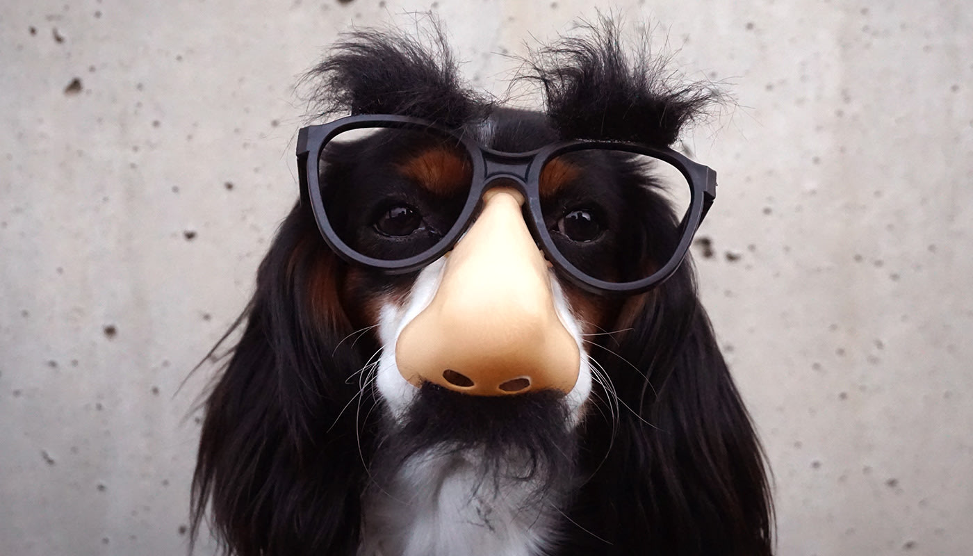 blog_niche-searchterm